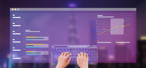 2021年字庫軟件與技術服務項目投資分析報告